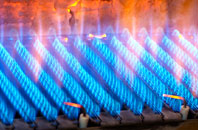 Stokenham gas fired boilers